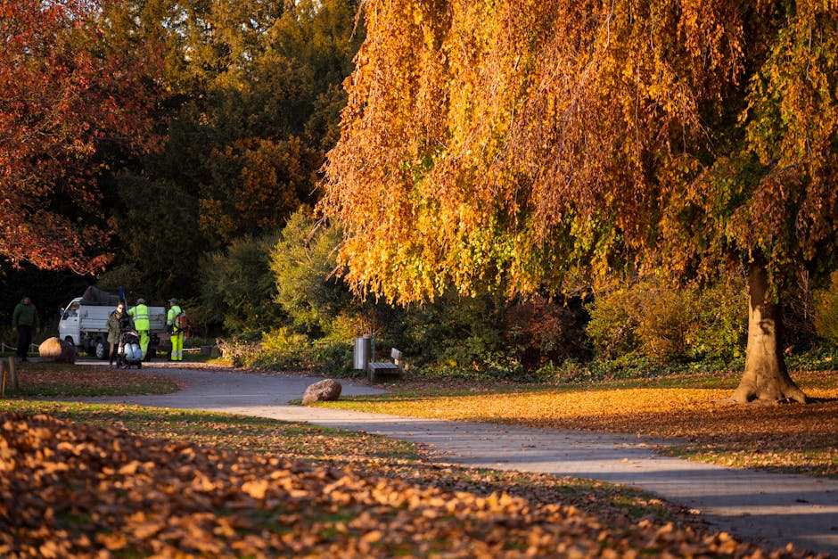 A scene within a park during autumn featuring a large tree with dense foliage displaying vibrant orange and yellow leaves, some of which have fallen to form a carpet on the ground. In the background, 